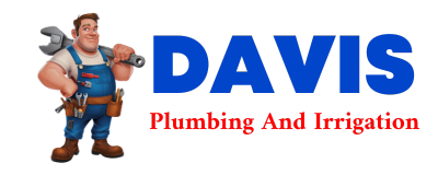 Trusted plumber in BOMOSEEN